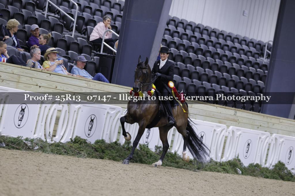 Proof 25R13_07147