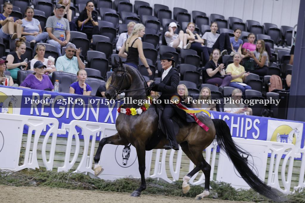 Proof 25R13_07150