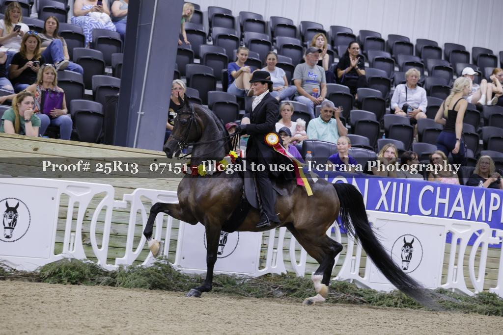 Proof 25R13_07151