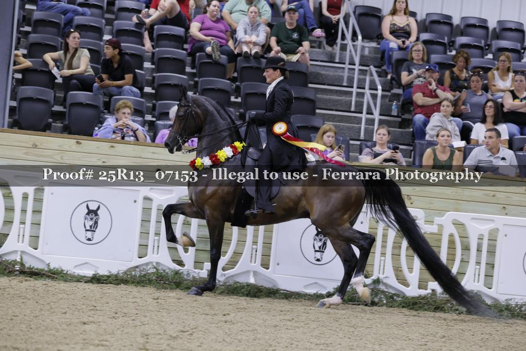 Proof 25R13_07153