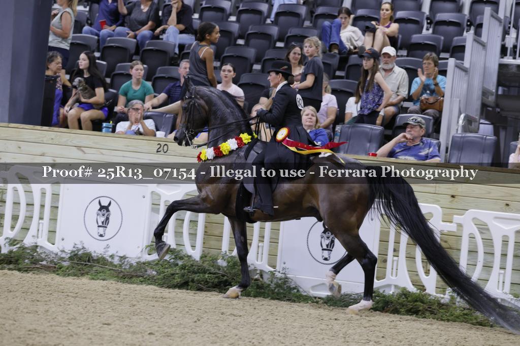 Proof 25R13_07154