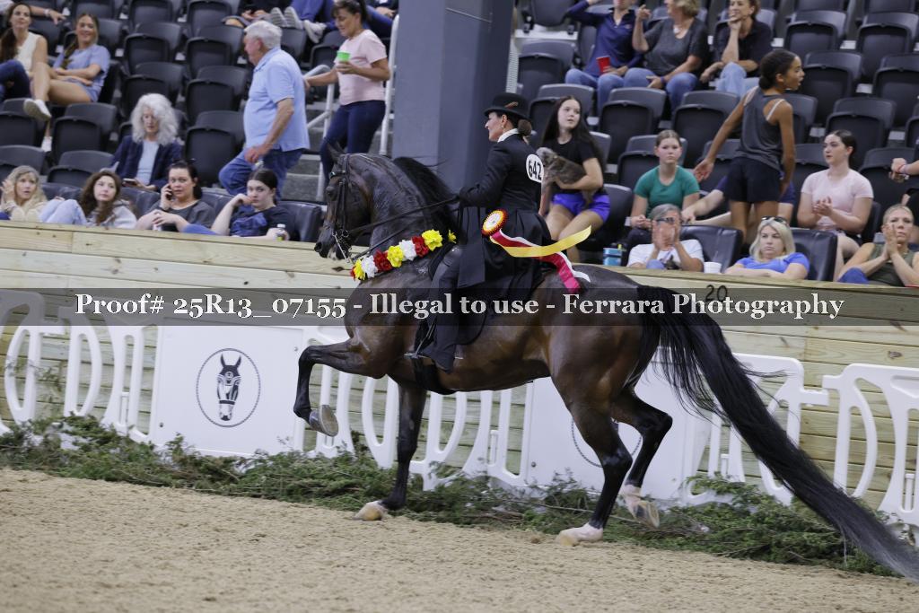 Proof 25R13_07155