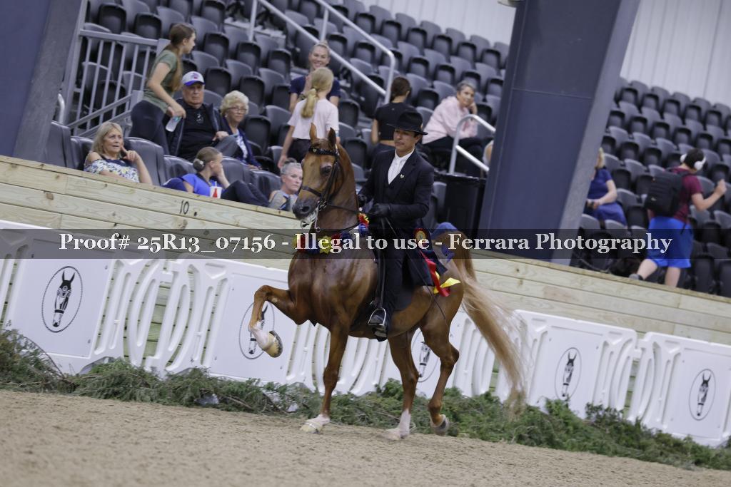 Proof 25R13_07156