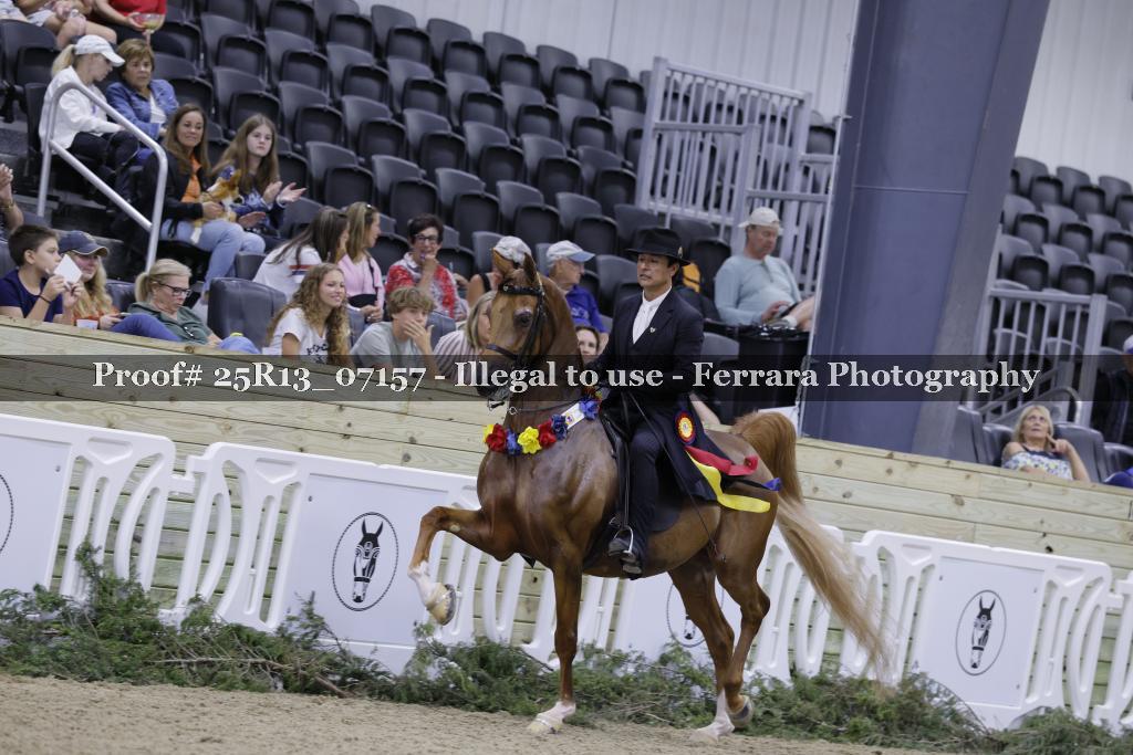 Proof 25R13_07157