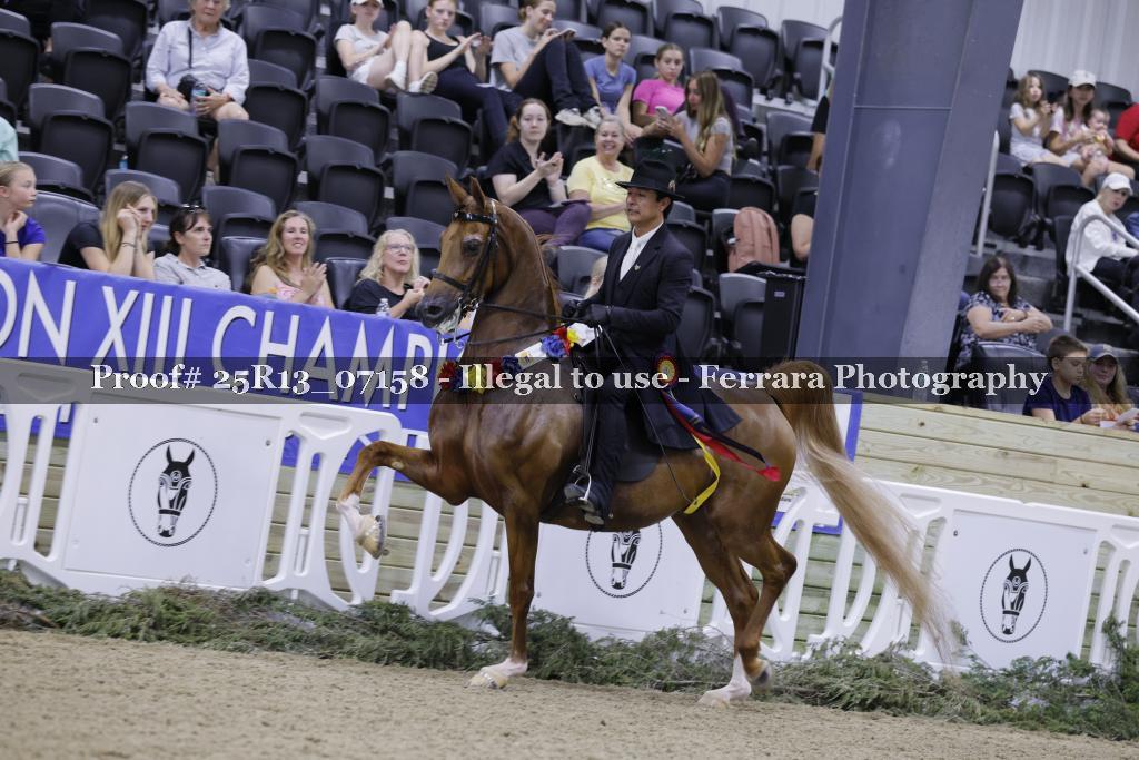 Proof 25R13_07158