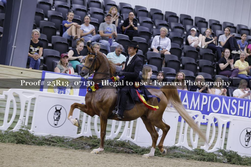 Proof 25R13_07159