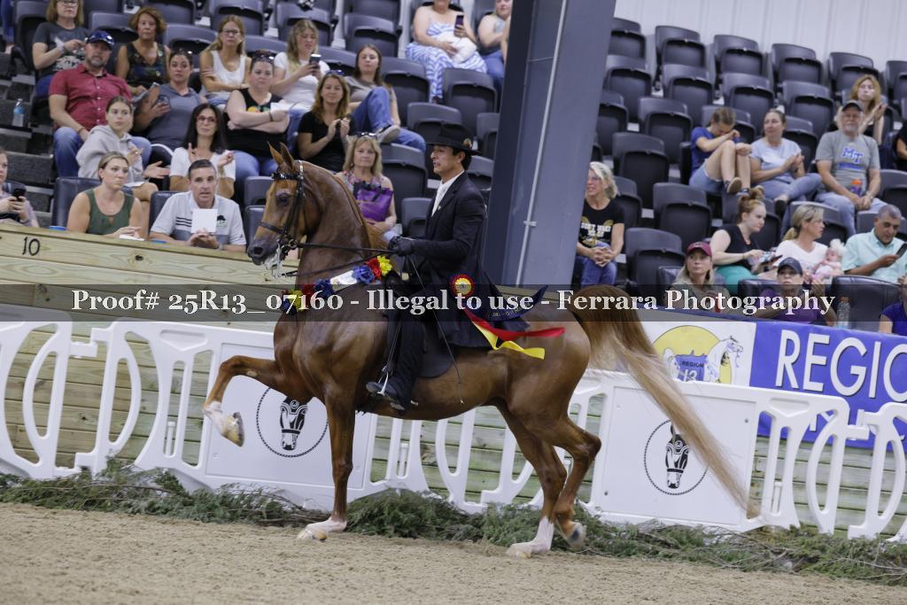 Proof 25R13_07160