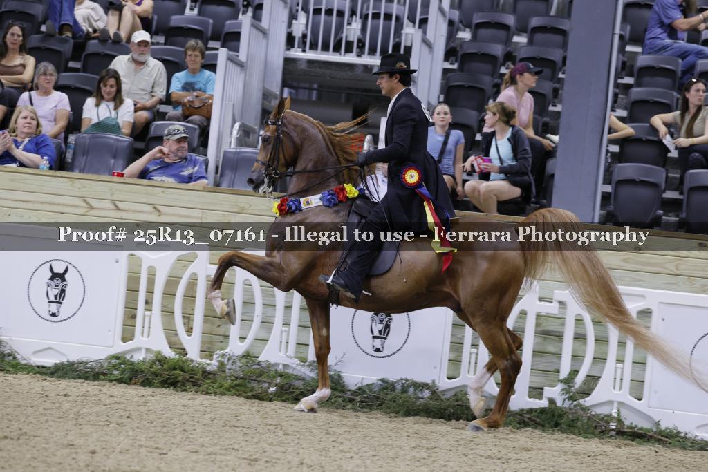 Proof 25R13_07161