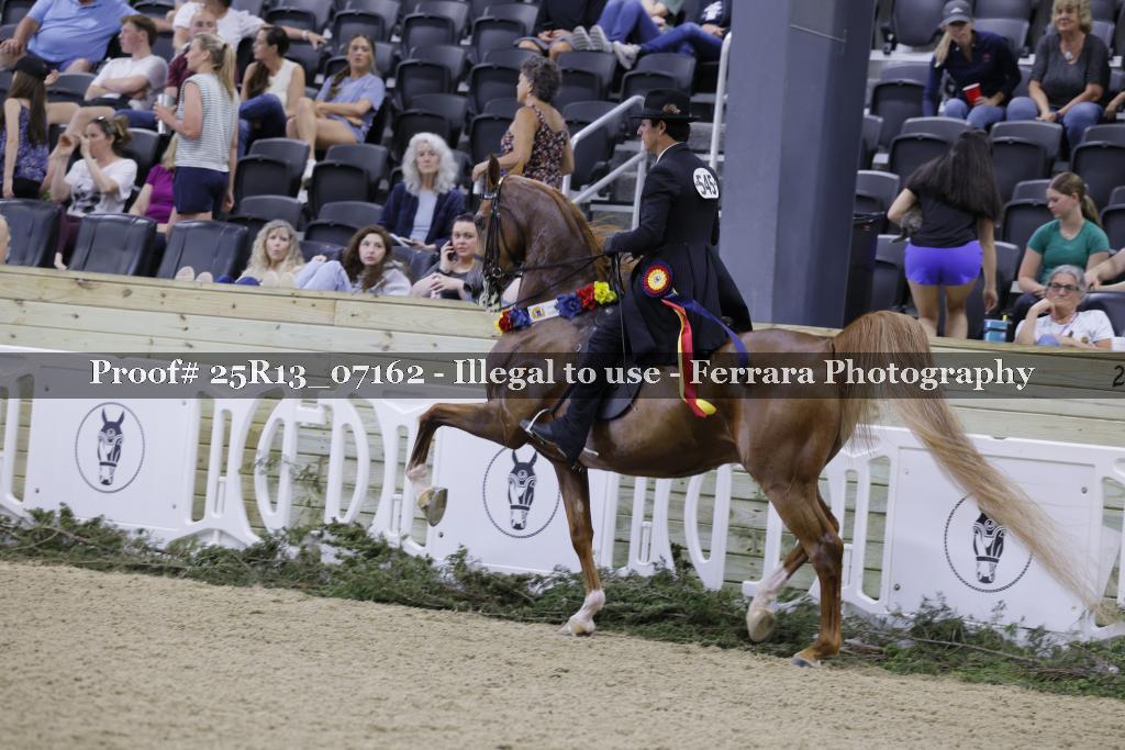 Proof 25R13_07162