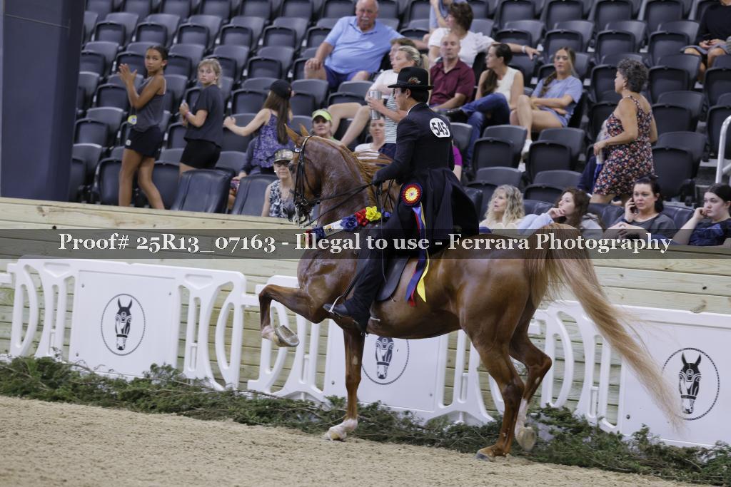 Proof 25R13_07163