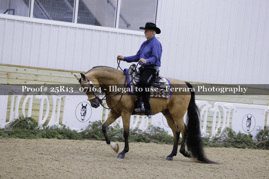 Proof 25R13_07164