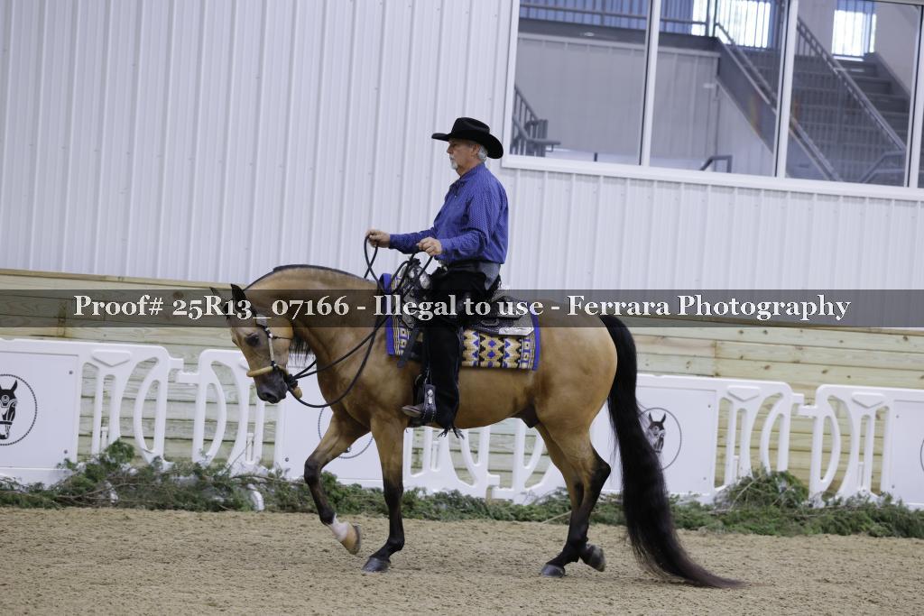 Proof 25R13_07166
