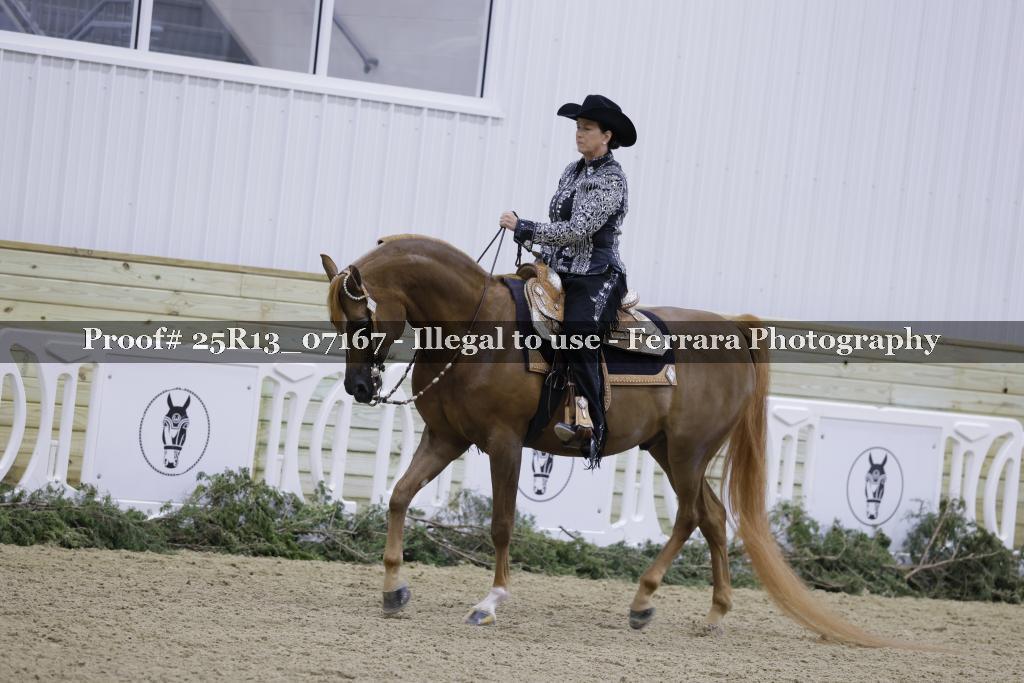 Proof 25R13_07167