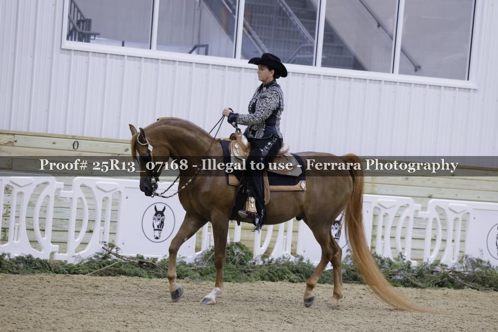 Proof 25R13_07168