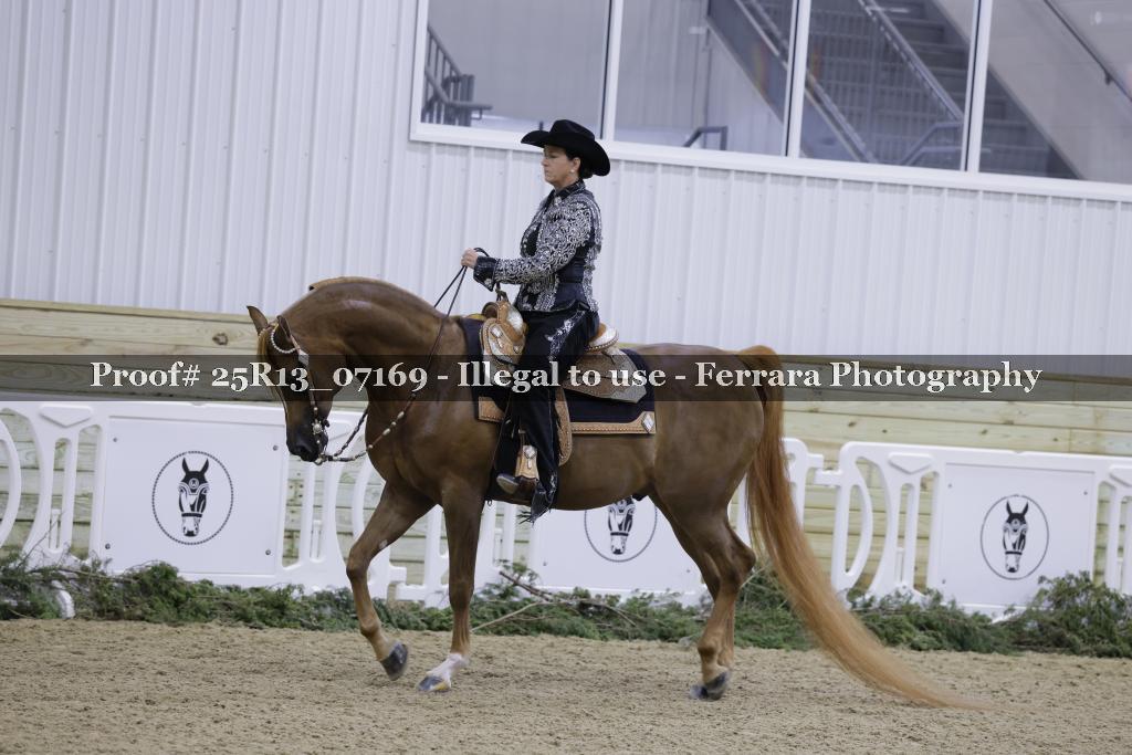 Proof 25R13_07169