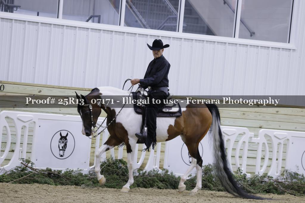 Proof 25R13_07171