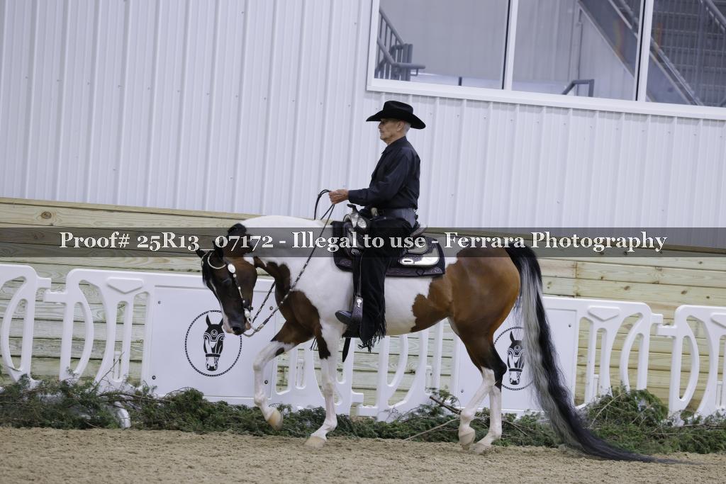 Proof 25R13_07172