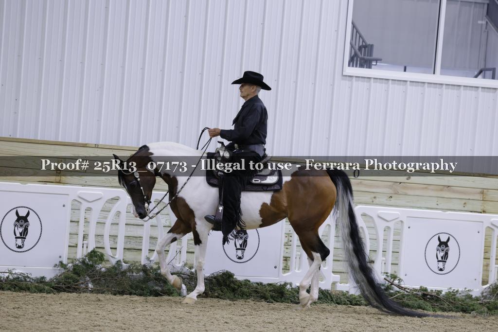 Proof 25R13_07173