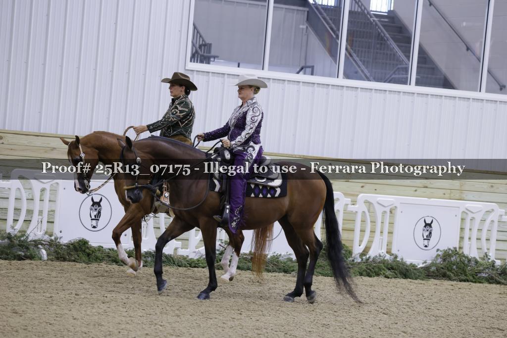 Proof 25R13_07175