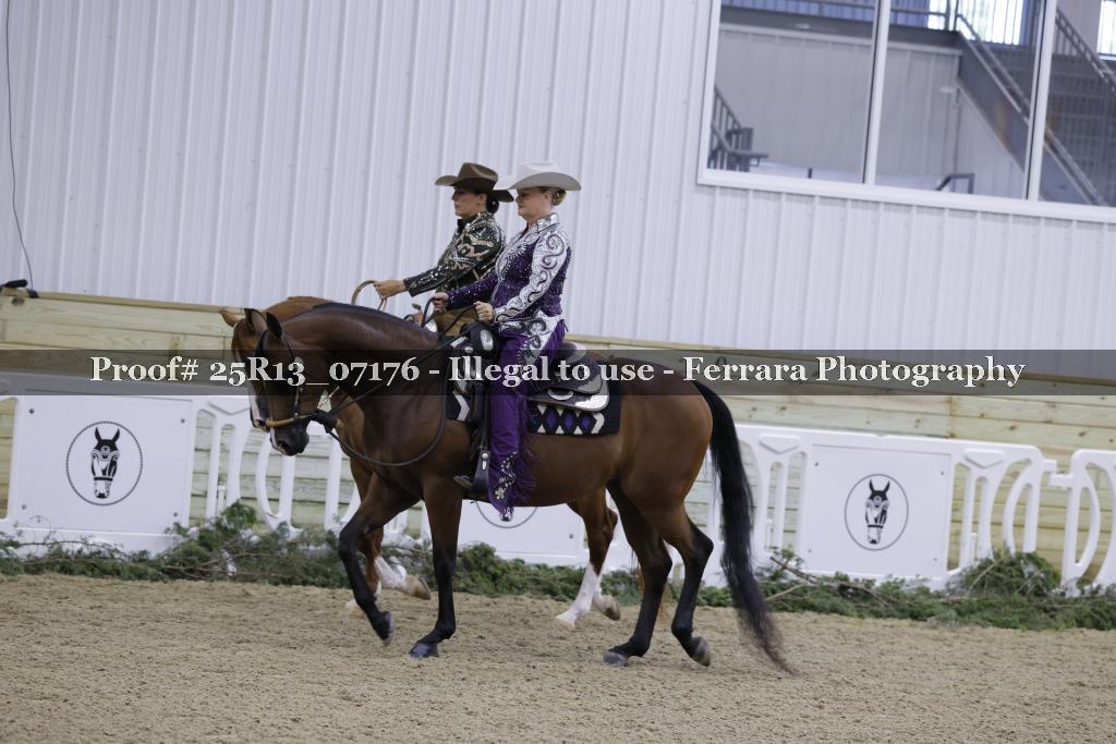 Proof 25R13_07176
