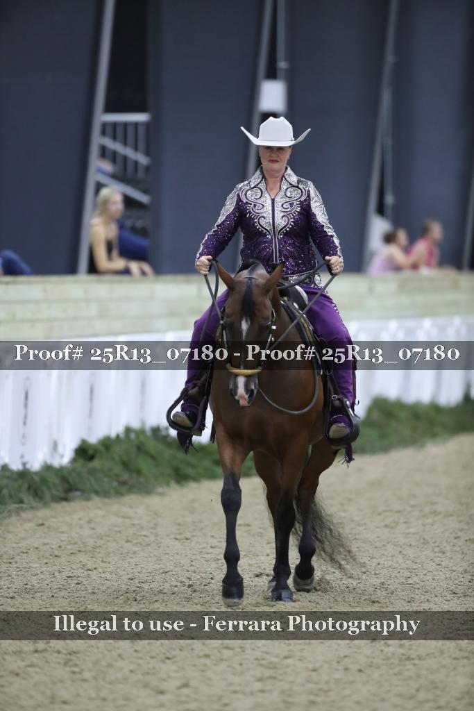 Proof 25R13_07180