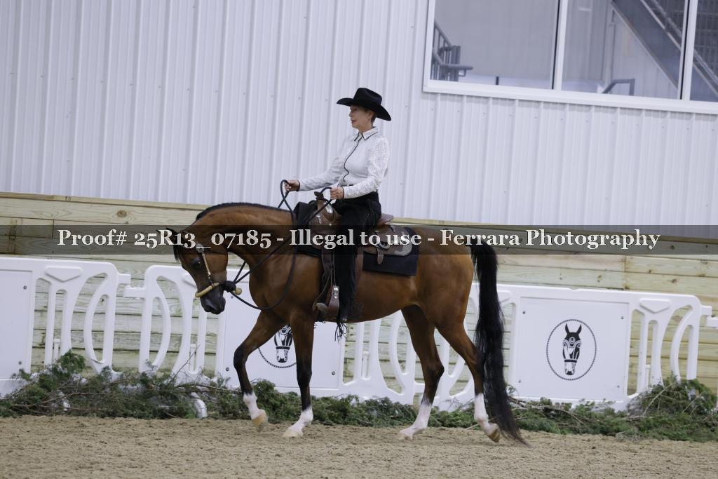 Proof 25R13_07185
