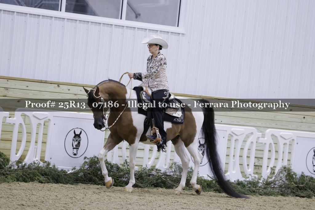 Proof 25R13_07186