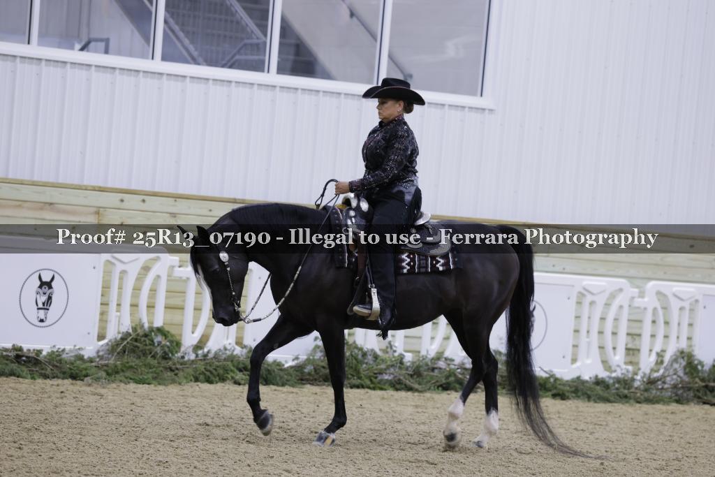 Proof 25R13_07190