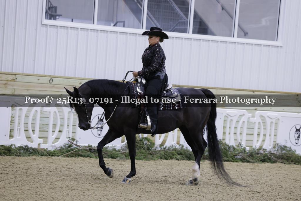 Proof 25R13_07191