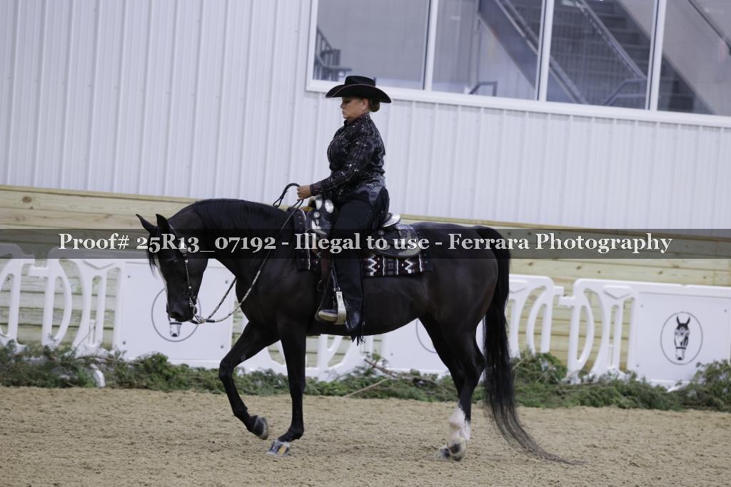 Proof 25R13_07192