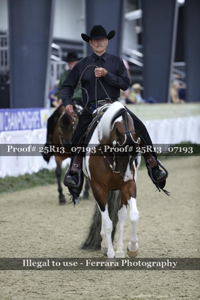 Proof 25R13_07193