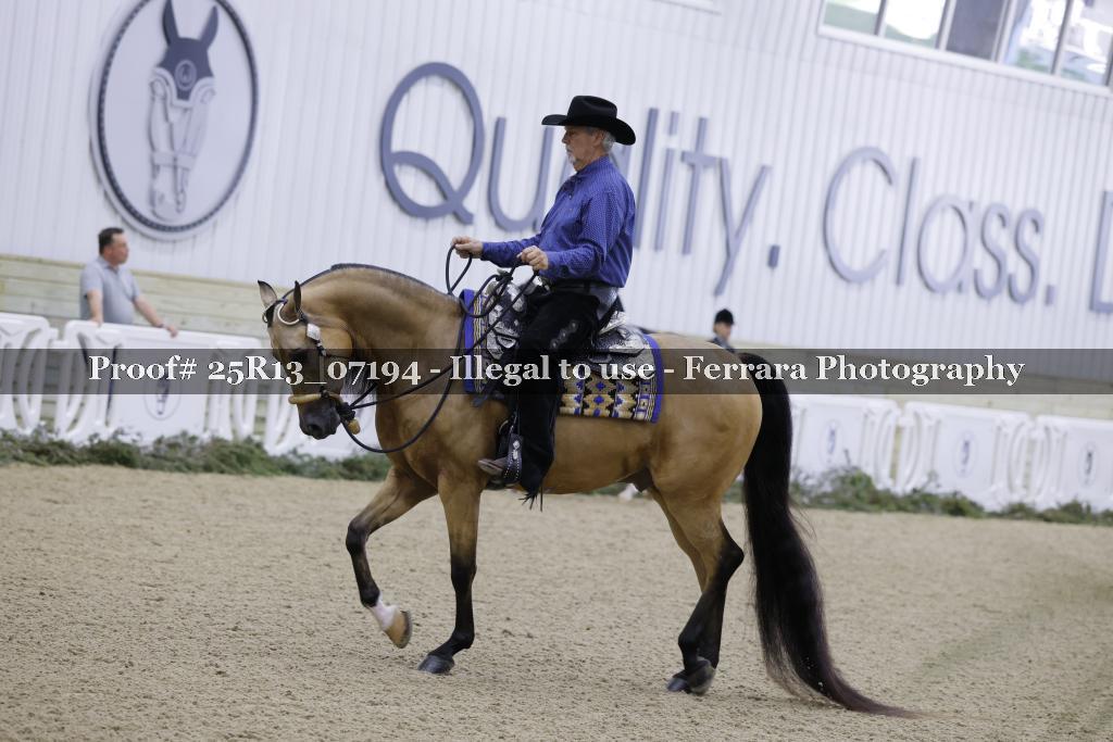 Proof 25R13_07194