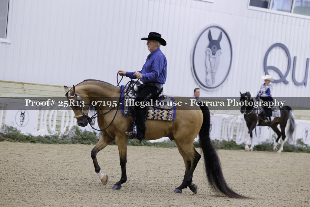 Proof 25R13_07195