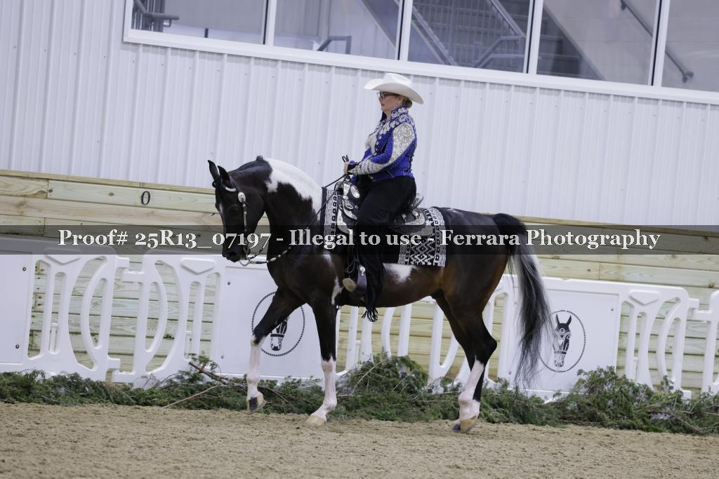 Proof 25R13_07197