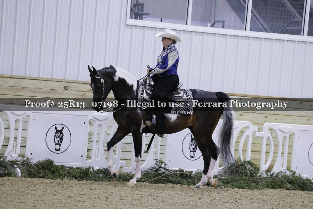 Proof 25R13_07198