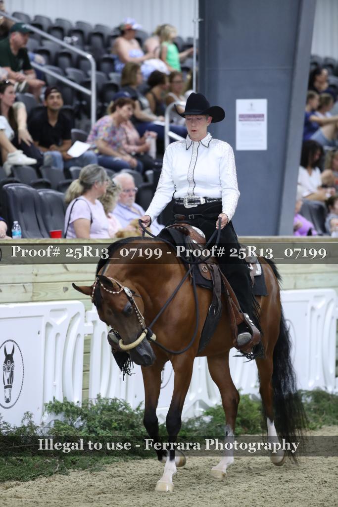 Proof 25R13_07199