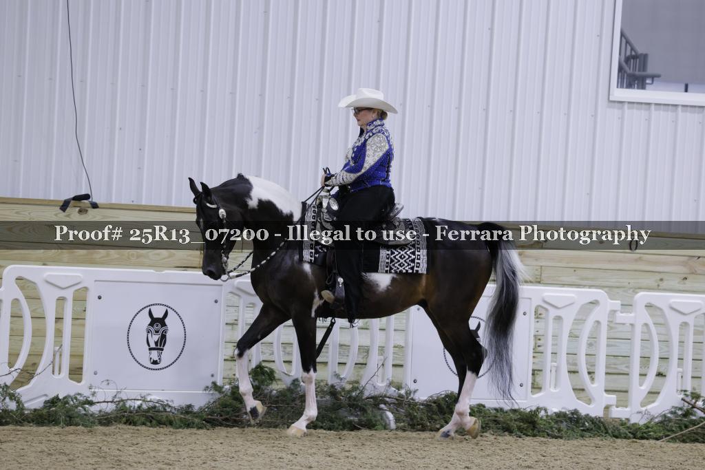 Proof 25R13_07200
