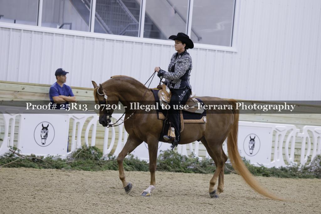 Proof 25R13_07201