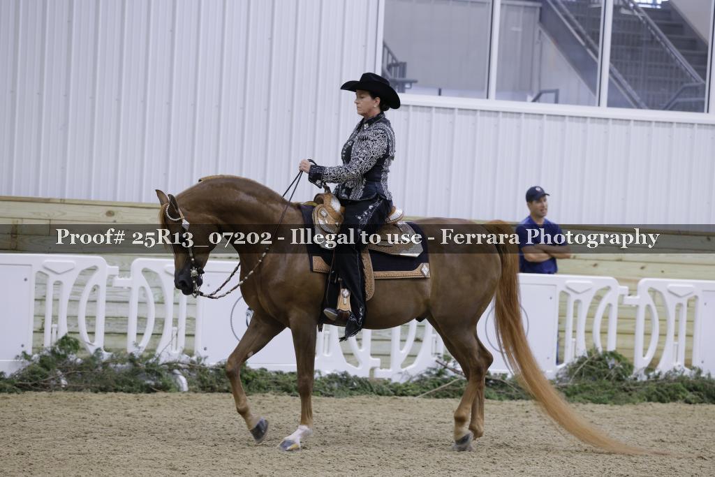 Proof 25R13_07202