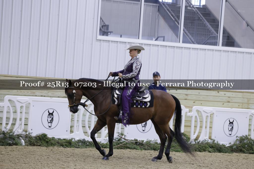 Proof 25R13_07203