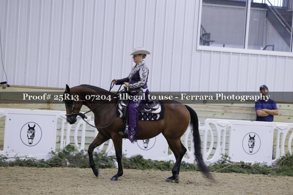Proof 25R13_07204