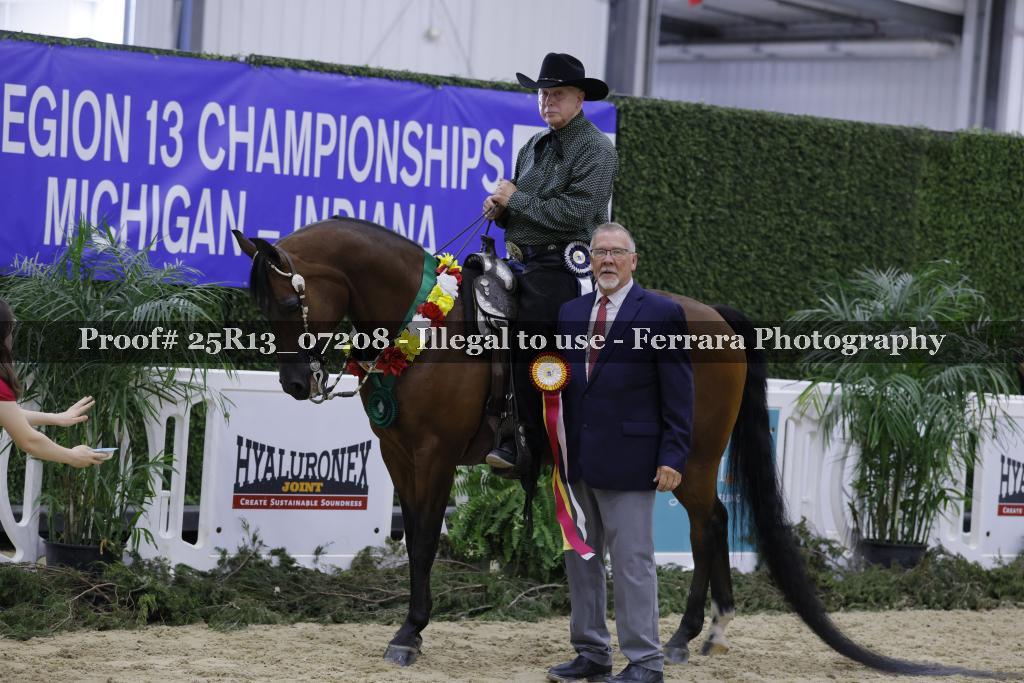 Proof 25R13_07208