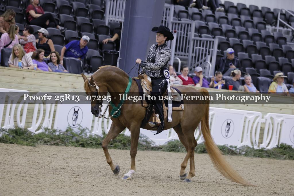 Proof 25R13_07225