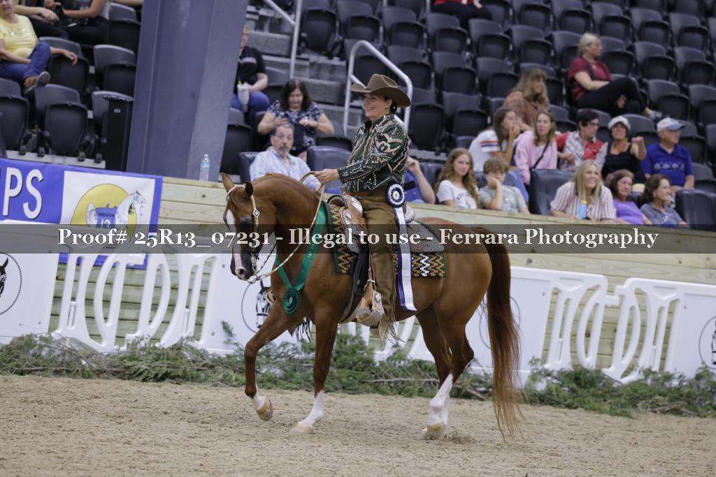 Proof 25R13_07231