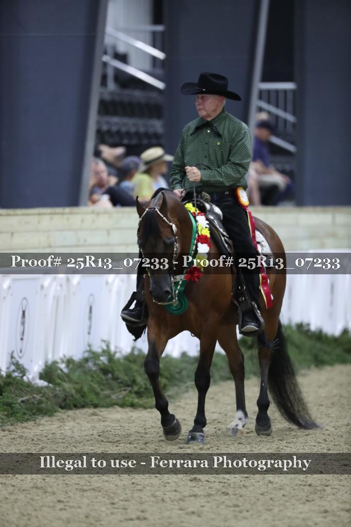 Proof 25R13_07233