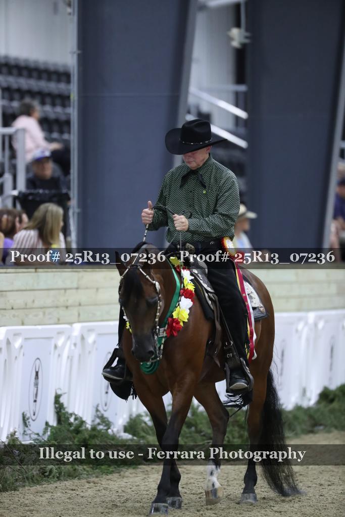 Proof 25R13_07236