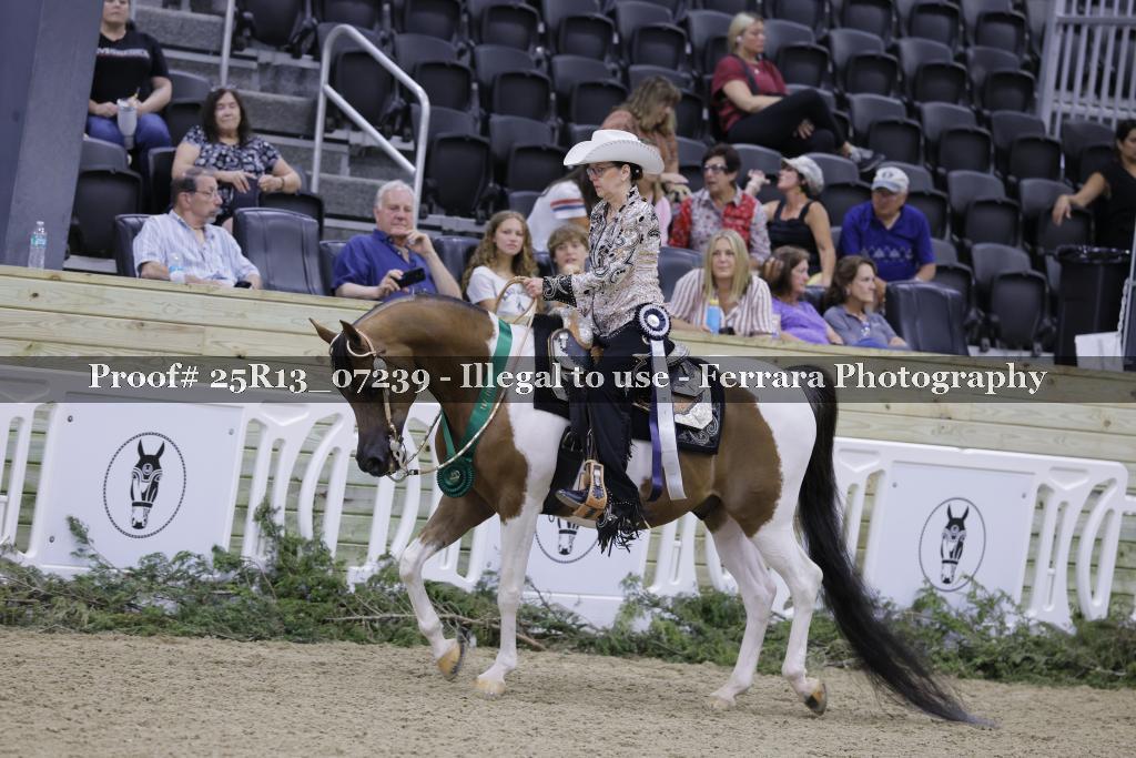 Proof 25R13_07239