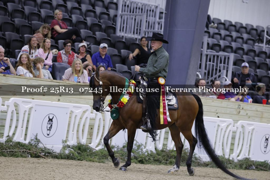 Proof 25R13_07245