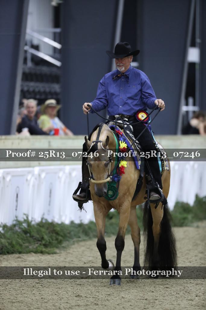 Proof 25R13_07246