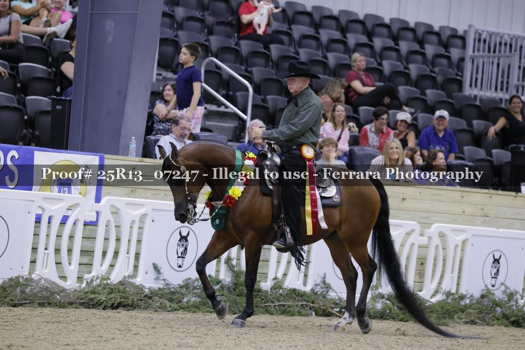 Proof 25R13_07247